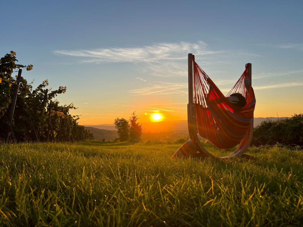 La Siesta viseči stol Udine s stojalom Eucalyptus Vremensko odporen oranžna